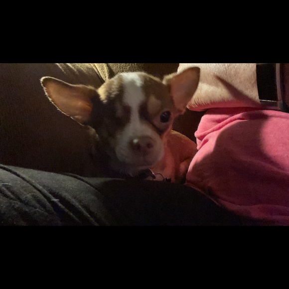 Meet your Posher, Bobbi - Picture 7 of 11